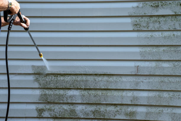 Best Basement Cleanout  in Richmond, IN